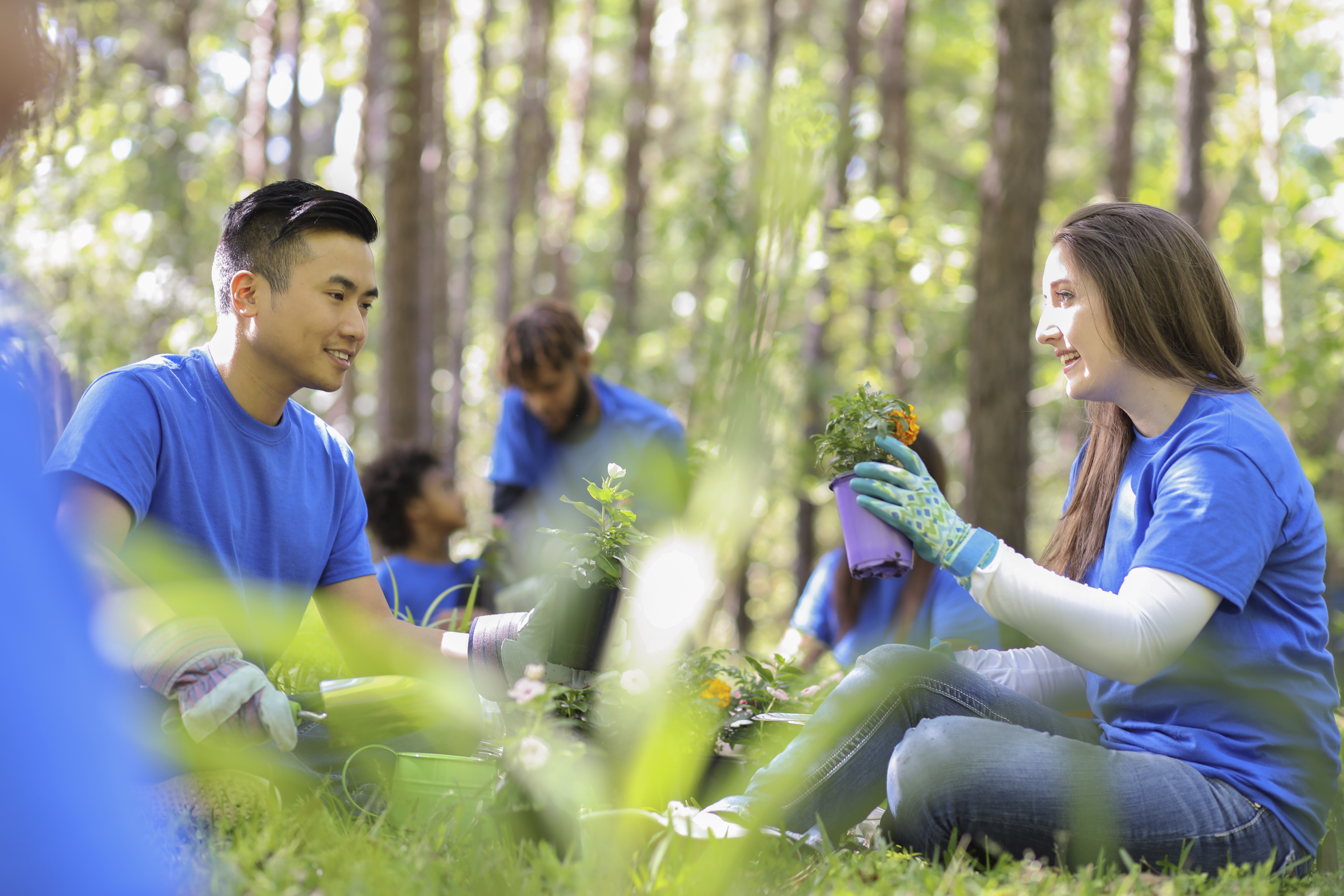 A boy and girl are in the forest planting flours. They are looking at each other.