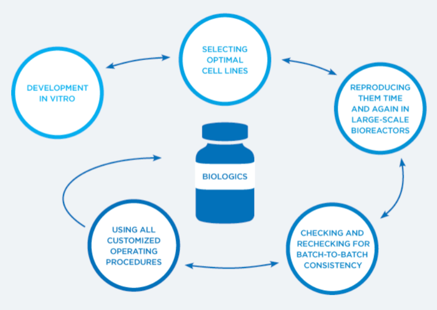 This image describes the development of a biological medicines, from developing monoclonal antibodies in vitro, scaling up the optimal cell line, time and again, in large-scale bioreactors, and checking and rechecking for batch-to-batch consistency.