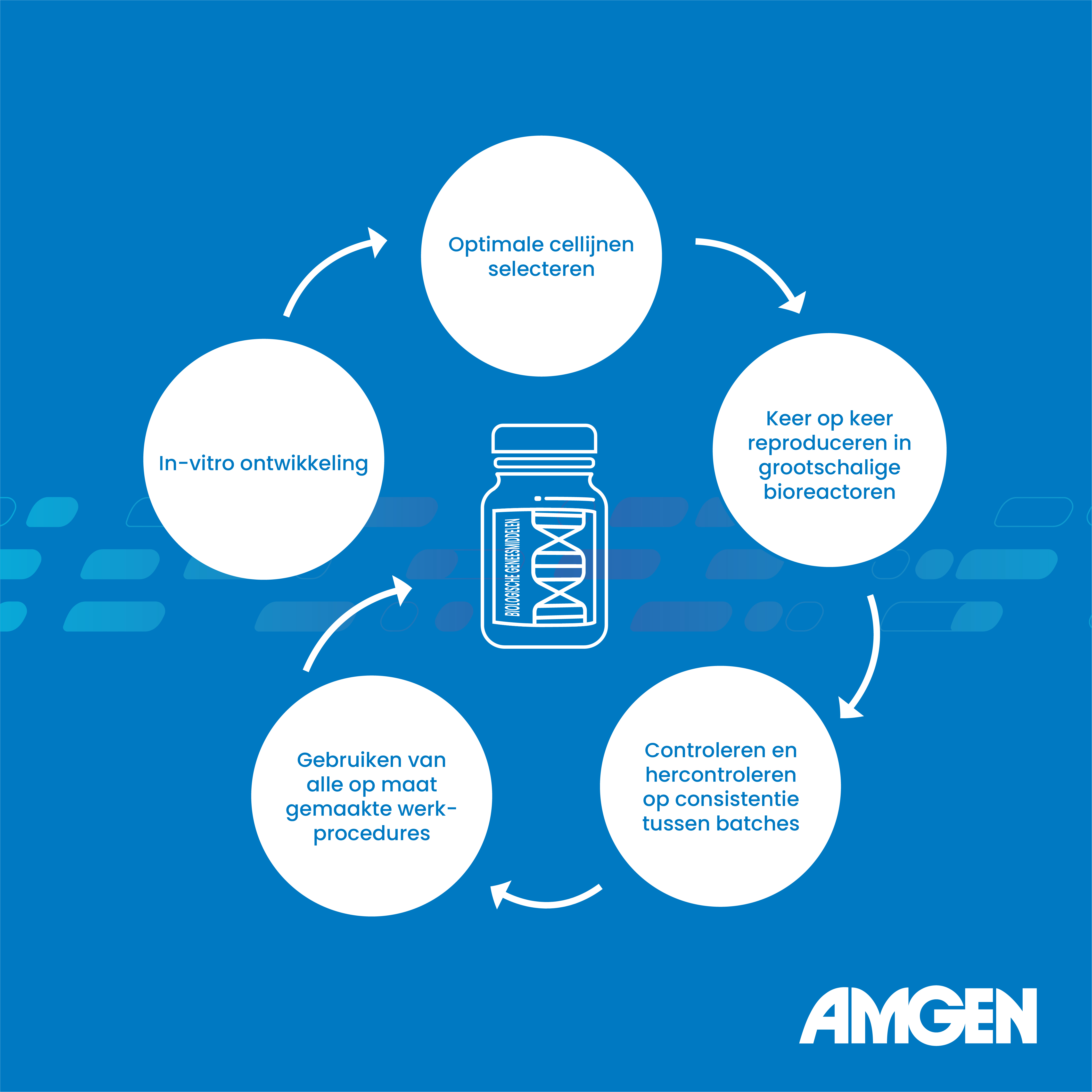 In deze visual wordt in korte stappen uitgelegd hoe een biologisch geneesmiddel wordt geproduceerd. Van in-vitro ontwikkeling tot de productie ervan.