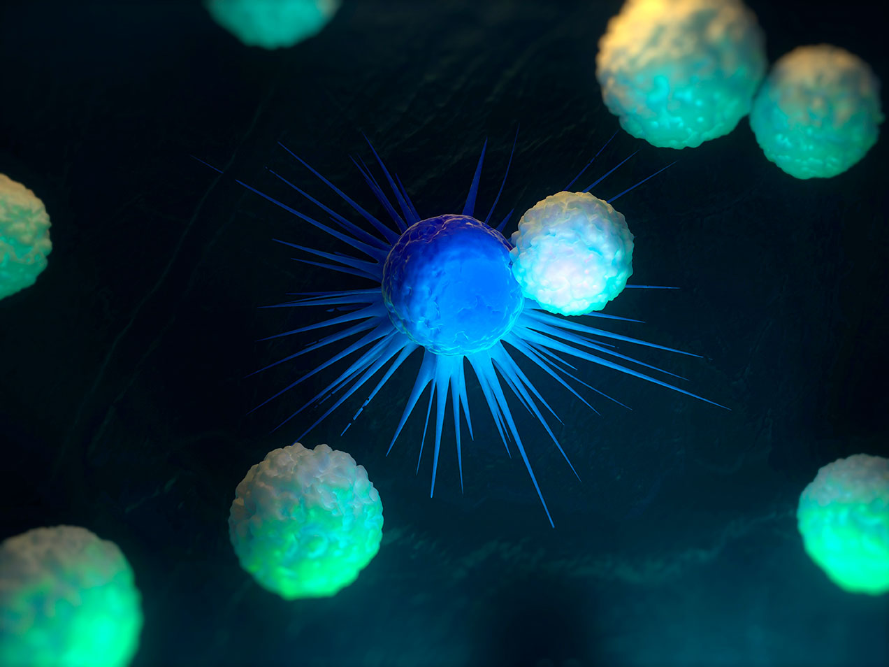 white-blood-cell-attacks-cancer-cell_web