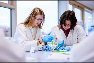 VMBO-leerlingen voeren een DNA-experiment uit in het klaslokaal als onderdeel van de Amgen Biotech Experience.