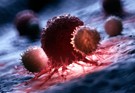 immune-system