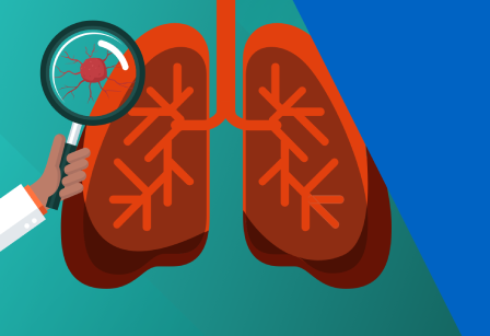 lungs