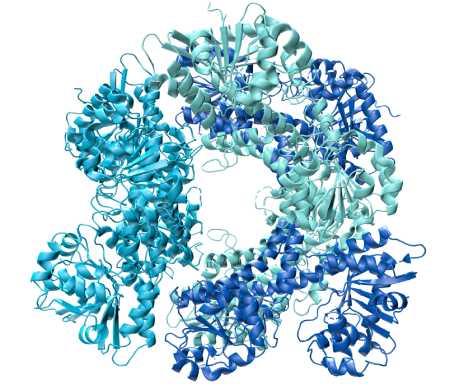 Plaatje van een groot molecuul met drie verschillende gedraaide linten in het blauw